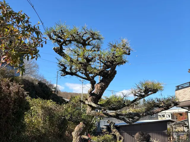 【外注作業一切なし◎】お客様の理想通りの仕上がりをお約束サービスの画像