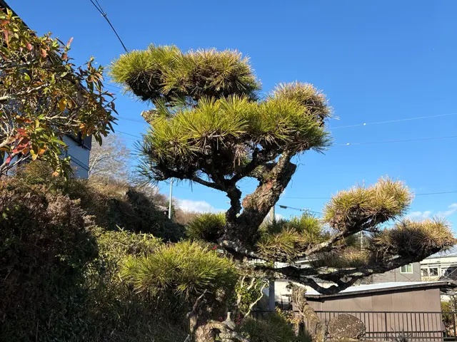 【外注作業一切なし◎】お客様の理想通りの仕上がりをお約束サービスの画像