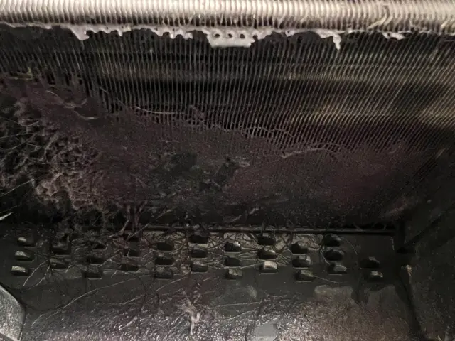 ★サービス開始キャンペーン実施中★27,500円→22,000円　国内4メーカーサービスの画像