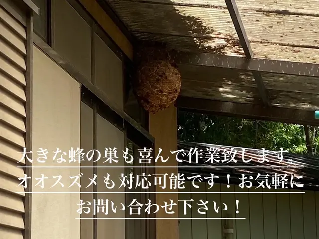 【1年保証】スズメバチもこの料金！安くて安心、笑顔でお受け致します！サービスの画像