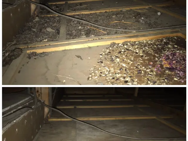 見積無料【徹底駆除】《わな猟免許所持》適正価格／カード可／プライバシー厳守サービスの画像