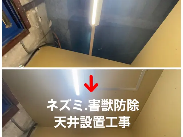 見積無料【徹底駆除】《わな猟免許所持》適正価格／カード可／プライバシー厳守サービスの画像