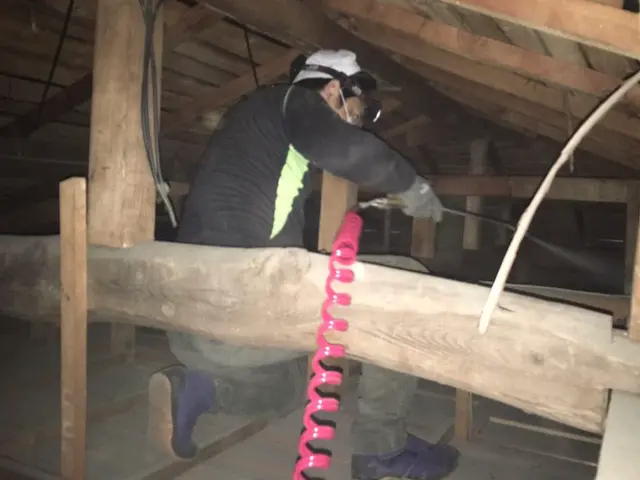 見積無料【徹底駆除】《わな猟免許所持》適正価格／カード可／プライバシー厳守サービスの画像