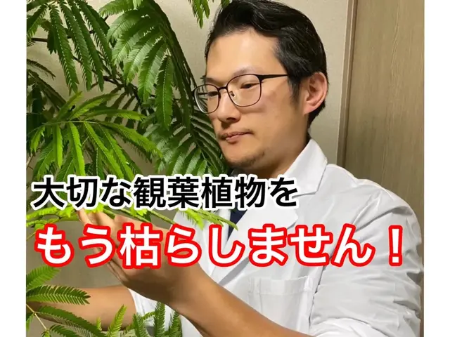 【樹医資格者】もう植物を枯らさない！植物のお医者さんによる植替え・診察サービスの画像