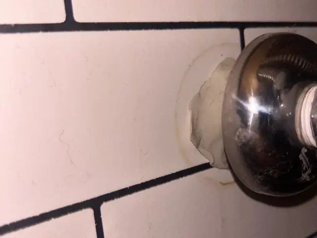 虫好き店長が駆除■再発一回まで無料保証■戸建歓迎■4LDK以上も上限3万円サービスの画像