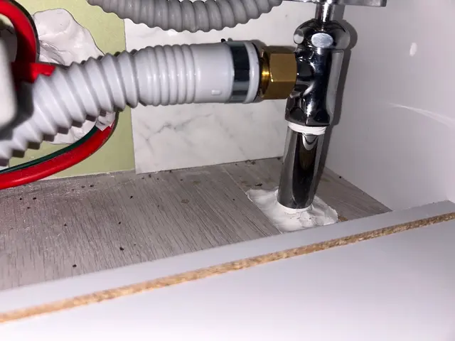 虫好き店長が駆除■再発一回まで無料保証■戸建歓迎■4LDK以上も上限3万円サービスの画像