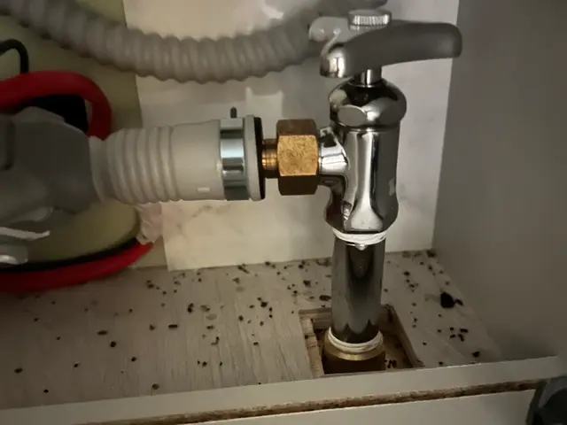 虫好き店長が駆除■再発一回まで無料保証■戸建歓迎■4LDK以上も上限3万円サービスの画像