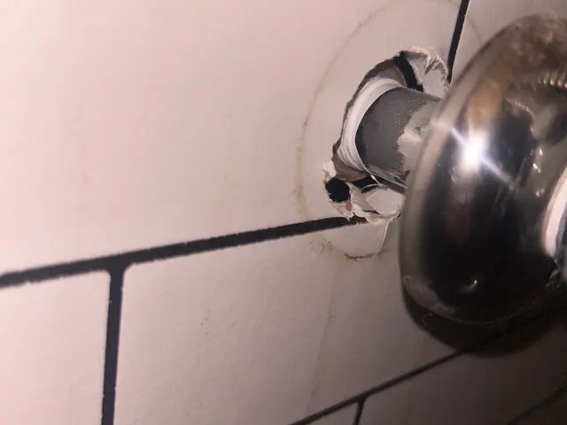 虫好き店長が駆除■再発一回まで無料保証■戸建歓迎■4LDK以上も上限3万円サービスの画像