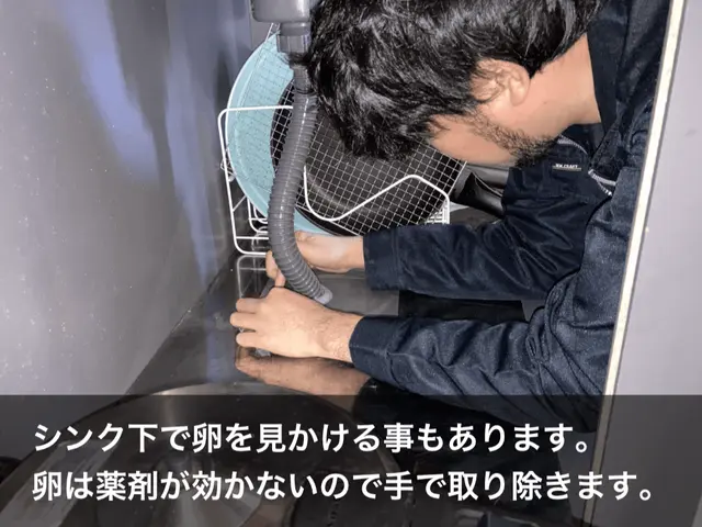 虫好き店長が駆除■再発一回まで無料保証■戸建歓迎■4LDK以上も上限3万円サービスの画像