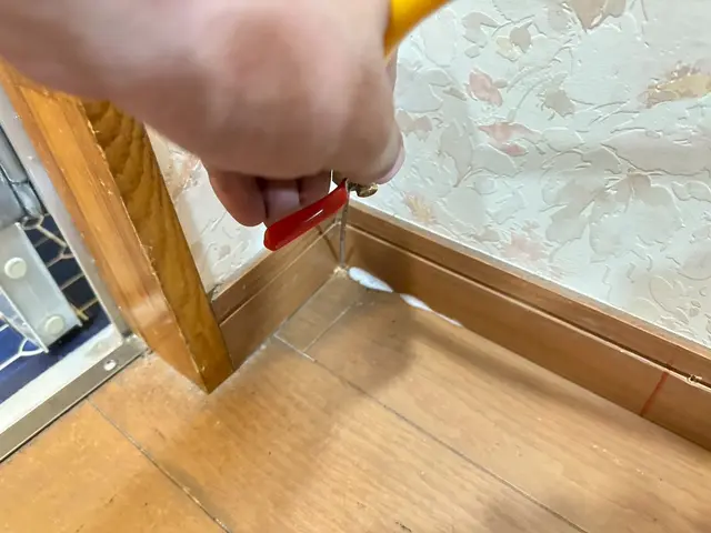 シロアリ完全駆除【年間300件以上施工実績あり】サービスの画像