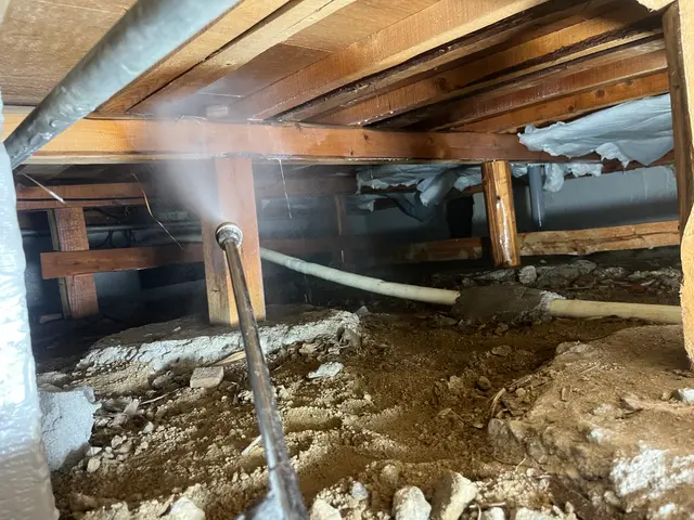 シロアリ完全駆除【年間300件以上施工実績あり】サービスの画像