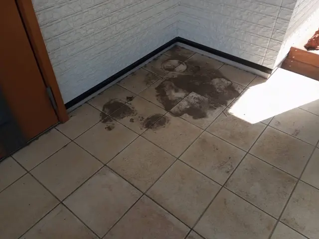 蓄積した長年の黒ずみ汚れも徹底洗浄サービスの画像