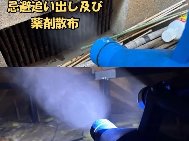 【現地調査無料】気付きにくいコウモリ被害！手遅れになる前にまずは調査のご依頼を！サービスの画像