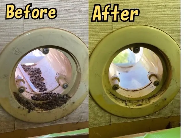 【現地調査無料】気付きにくいコウモリ被害！手遅れになる前にまずは調査のご依頼を！サービスの画像