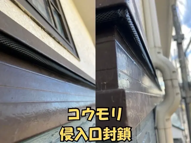 【現地調査無料】気付きにくいコウモリ被害！手遅れになる前にまずは調査のご依頼を！サービスの画像