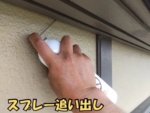 【現地調査無料】気付きにくいコウモリ被害！手遅れになる前にまずは調査のご依頼を！サービスの画像