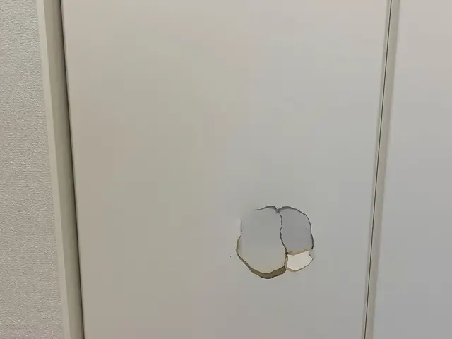 室内木製ドアの穴・凹みの補修（直径20cm以内）サービスの画像