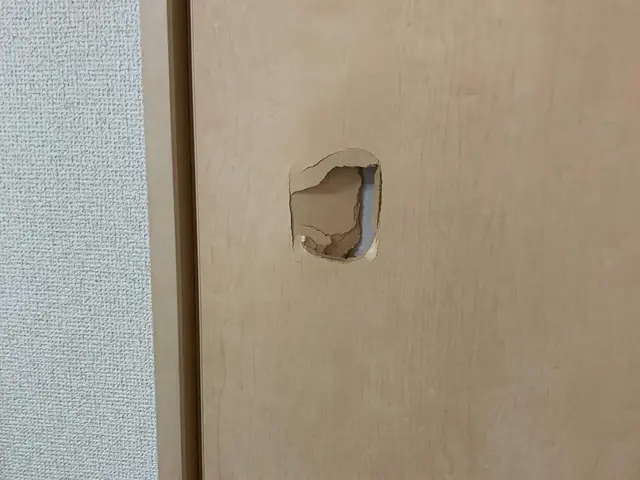 室内木製ドアの穴・凹みの補修（直径20cm以内）サービスの画像