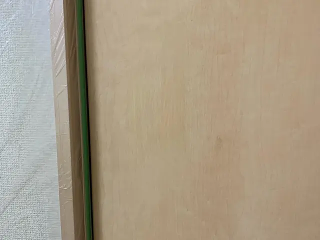 室内木製ドアの穴・凹みの補修（直径20cm以内）サービスの画像