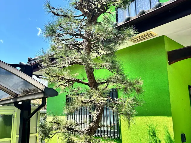 プロの技術でご満足いただけるように心を込めて作業いたしますサービスの画像