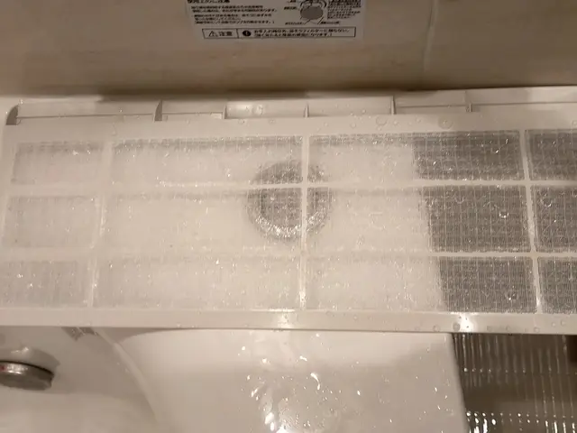 ☆年末価格提供☆予約殺到中☆サービスの画像