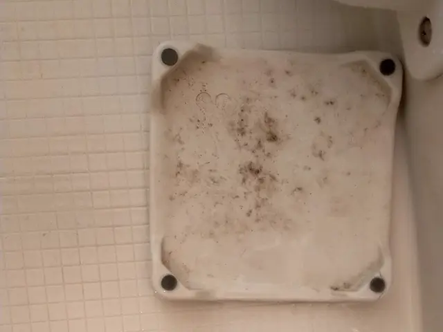 ☆年末価格提供☆予約殺到中☆サービスの画像