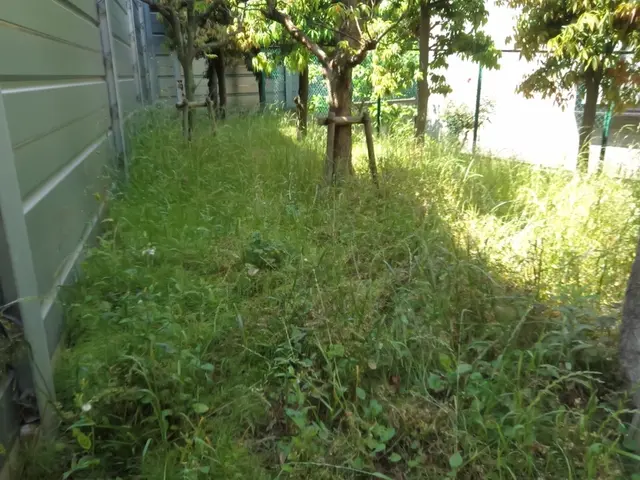 地肌が見えるくらいまで丁寧に草刈りします。空き家の放置庭や駐車場、空地もOK！サービスの画像