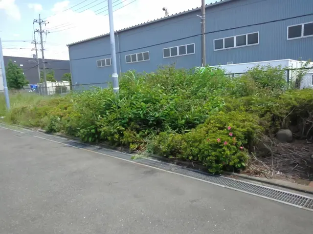 地肌が見えるくらいまで丁寧に草刈りします。空き家の放置庭や駐車場、空地もOK！サービスの画像