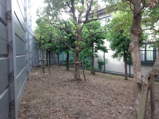 地肌が見えるくらいまで丁寧に草刈りします。空き家の放置庭や駐車場、空地もOK！サービスの画像