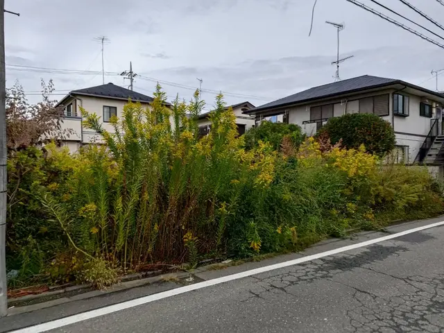 地肌が見えるくらいまで丁寧に草刈りします。空き家の放置庭や駐車場、空地もOK！サービスの画像