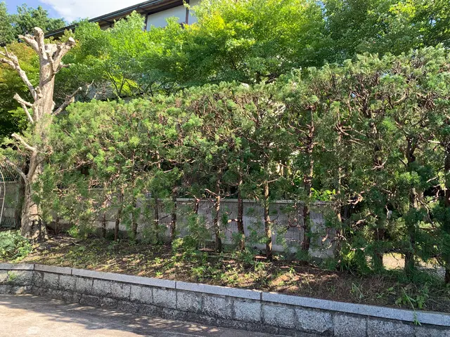 【業界歴10年の実績】年中無休◎営業時間外・対応地域外でもご要望お聞きします！サービスの画像