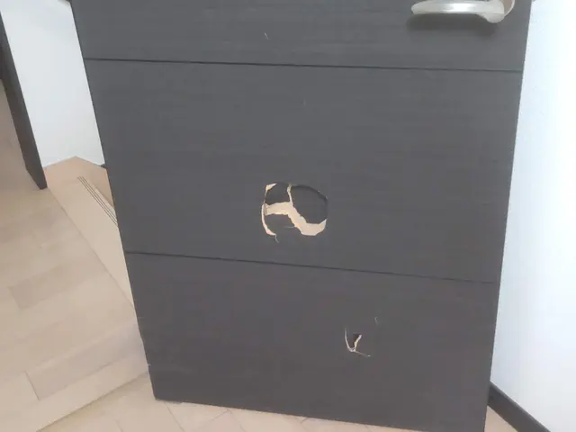 リペア補修後のドアを新品の様に変えてみませんか？サービスの画像