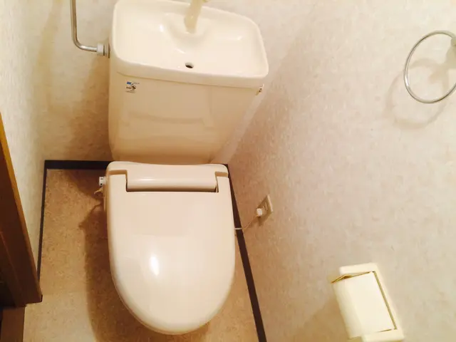 【心を込めたお掃除で笑顔をお届け！】トイレクリーニングサービスの画像