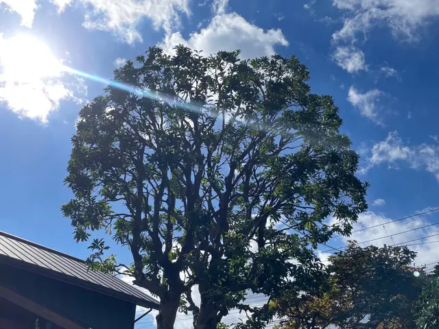 お庭にちょうどいい心地よさを!お庭ゴトならニワゴトへ！サービスの画像