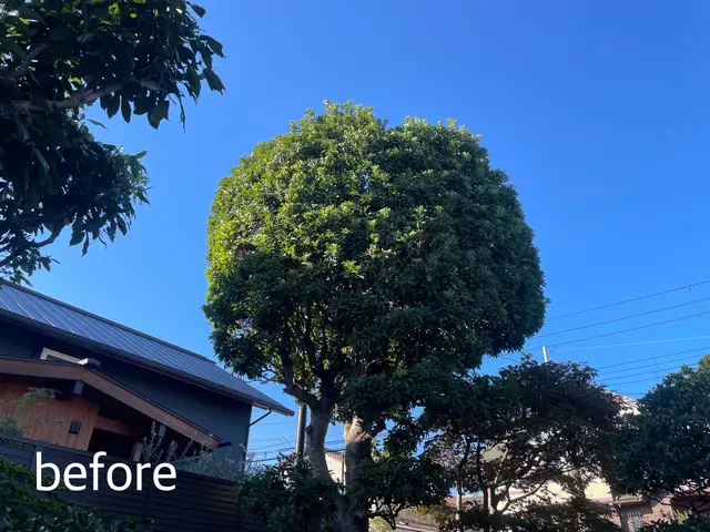 お庭にちょうどいい心地よさを!お庭ゴトならニワゴトへ！サービスの画像