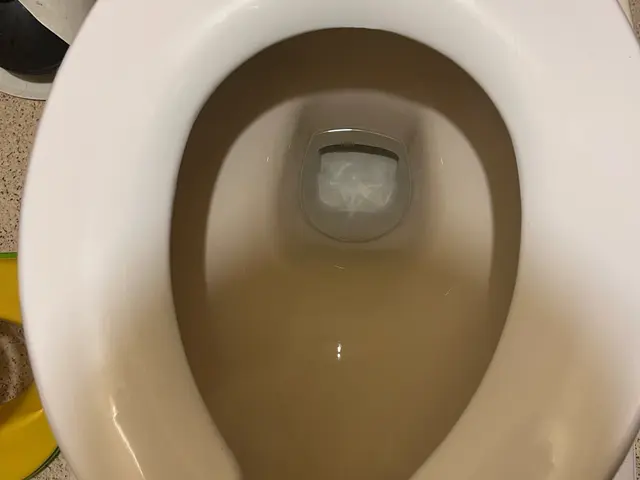 頑固な尿石取りを家庭用洗剤で！後々ご自分で出来る様にサービスの画像