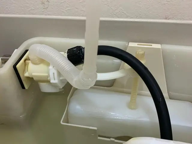 女性スタッフ同行可◎損害保険に加入済み◎当店へお任せください！サービスの画像