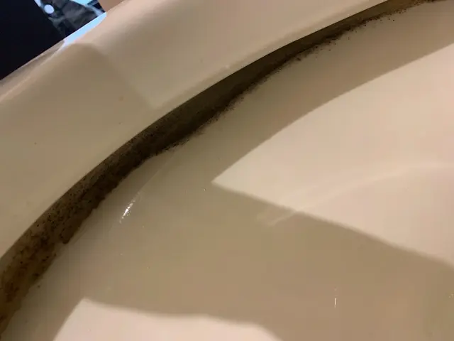 女性スタッフ同行可◎損害保険に加入済み◎当店へお任せください！サービスの画像