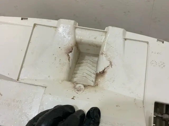 女性スタッフ同行可◎損害保険に加入済み◎当店へお任せください！サービスの画像