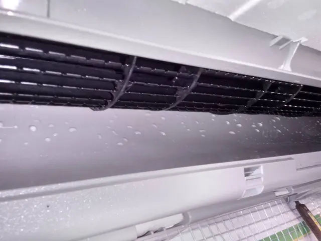 ペット赤ちゃん安心洗剤／資格保持・非喫煙者ですサービスの画像