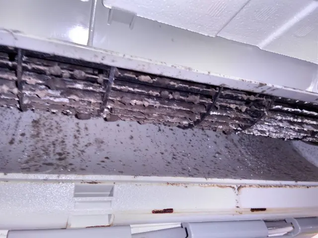 ペット赤ちゃん安心洗剤／資格保持・非喫煙者ですサービスの画像