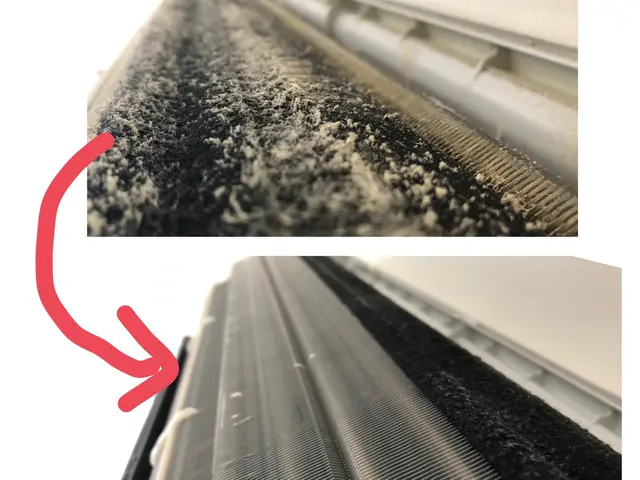 ペット赤ちゃん安心洗剤／資格保持・非喫煙者ですサービスの画像