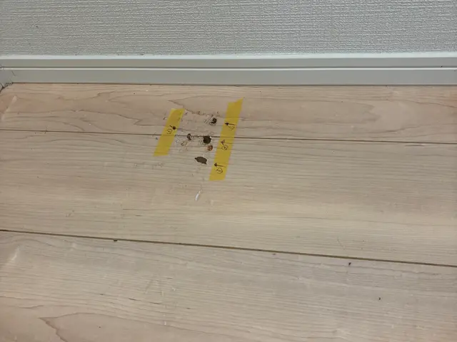 プロの技術でご満足いただけるように心を込めて作業いたします。サービスの画像