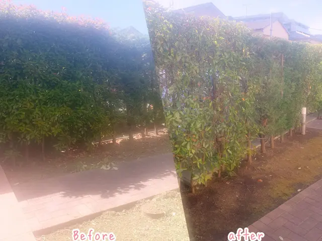 【業歴20年】丁寧！迅速作業‼︎ご相談下さい‼︎サービスの画像