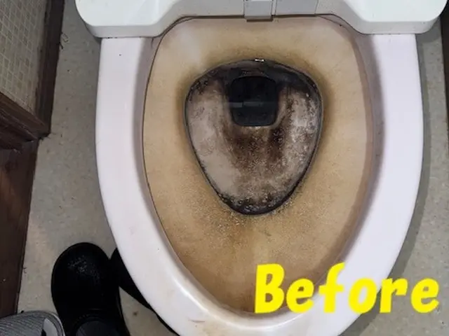 年末の大掃除はプロにお任せ下さい！私たち親子が綺麗にクリーニングします！サービスの画像