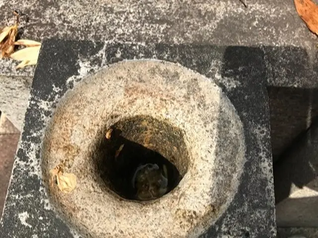 【業界歴30年】花筒の交換・文字ペイントの入れ直しオプションもあり◎サービスの画像