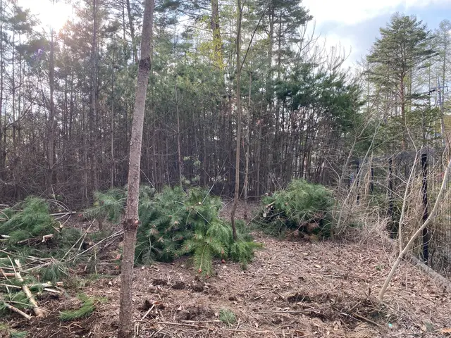 【業歴12年の実績】年中無休◎店長の私が迅速丁寧に対応いたしますサービスの画像