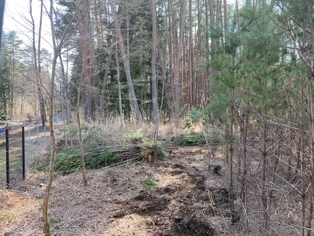 【業歴12年の実績】年中無休◎店長の私が迅速丁寧に対応いたしますサービスの画像