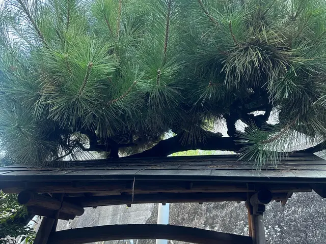 作業外注一切なし◎予約対応～作業完了まで、当社スタッフがすべてご対応！サービスの画像