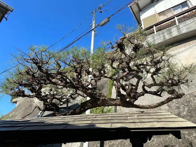 作業外注一切なし◎予約対応～作業完了まで、当社スタッフがすべてご対応！サービスの画像